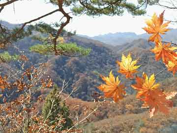 瑞幸咖啡與原神聯(lián)名活動(dòng)爆單，引發(fā)消費(fèi)者熱議